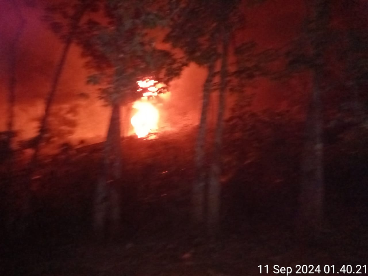 IMG-20240912-WA0005