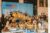 IMG-20260907-WA0103